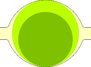 FluidRoller Pumpe