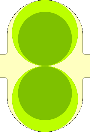 FluidRoller Pumpe